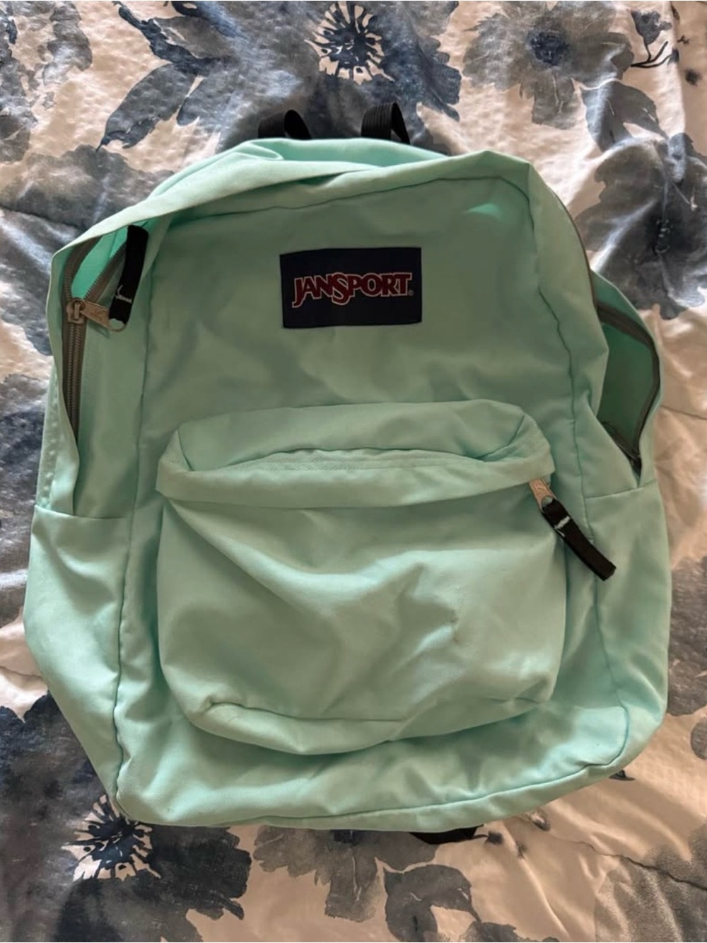 JANSPORT Superbreak Plus Backpack (Faded Sage)